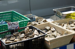 Austern auf dem Markt in Valognes - immer freitags