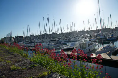 Der Fischerei- und Jachthafen Saint-Vaast-la-Hougue, ein bekanntes Austernzuchtzentrum
