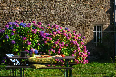 Tisch im Garten unter Bäumen