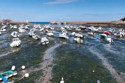Hafen von Barfleur bei Ebbe
