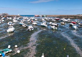 Hafen von Barfleur bei Ebbe